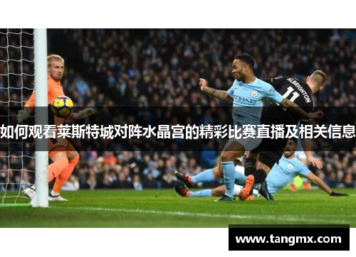 如何观看莱斯特城对阵水晶宫的精彩比赛直播及相关信息