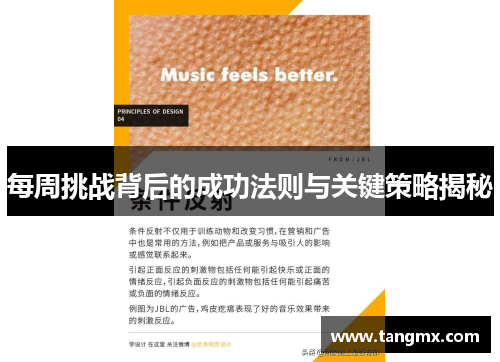 每周挑战背后的成功法则与关键策略揭秘