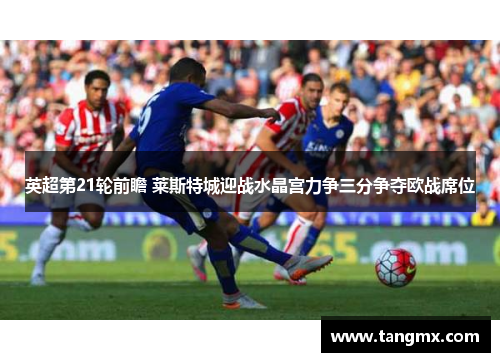 英超第21轮前瞻 莱斯特城迎战水晶宫力争三分争夺欧战席位