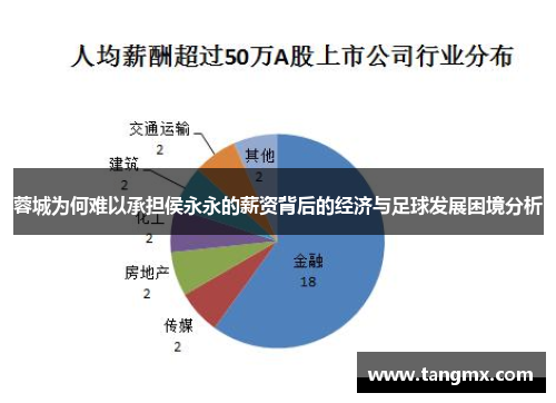 蓉城为何难以承担侯永永的薪资背后的经济与足球发展困境分析