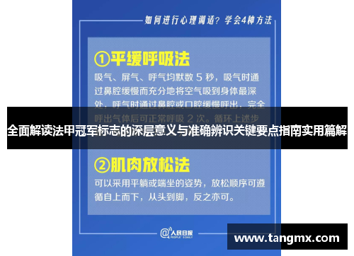 全面解读法甲冠军标志的深层意义与准确辨识关键要点指南实用篇解