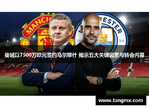 曼城以7500万欧元签约马尔穆什 揭示五大关键因素与转会内幕